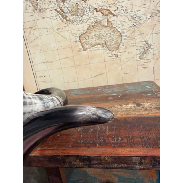 2010s Dramatic Dark Ankole Watusi Horn Pair – 28” Polished Ugandan Horns – Ralph Lauren Safari Style For Sale - Image 5 of 6