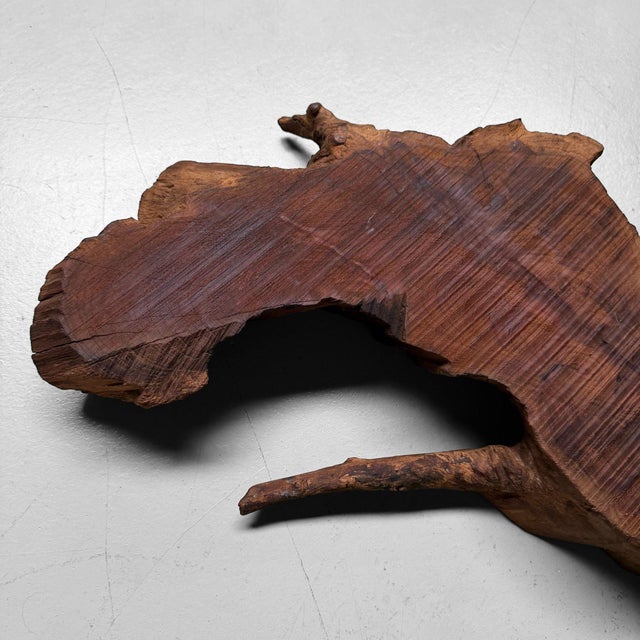 Mid-Century Modern Japanese Rootwood Display Slab, 1950s For Sale - Image 3 of 17