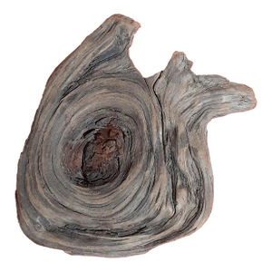 Organic Burl Wood Snail