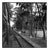 Paul Cooklin, Train Approaching, Edition of 50 For Sale