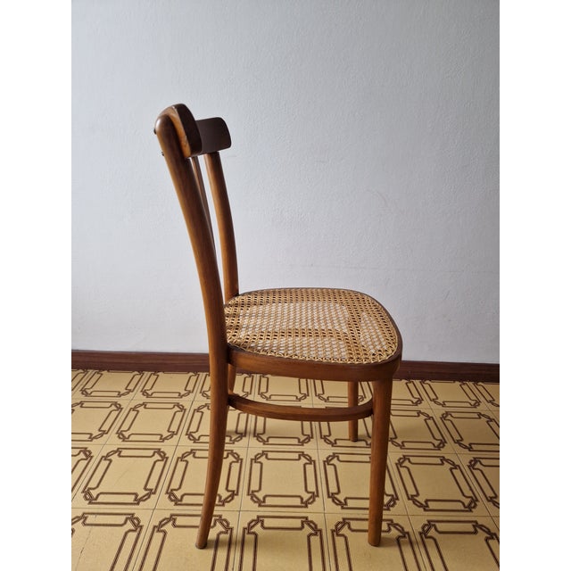 Vintage Chair by Michael Thonet, 1919 For Sale - Image 12 of 15