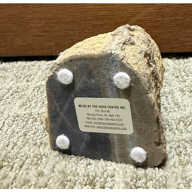 Beautiful piece of fossilized wood, with the outer shell showing a completely different view than the polished edge, with...