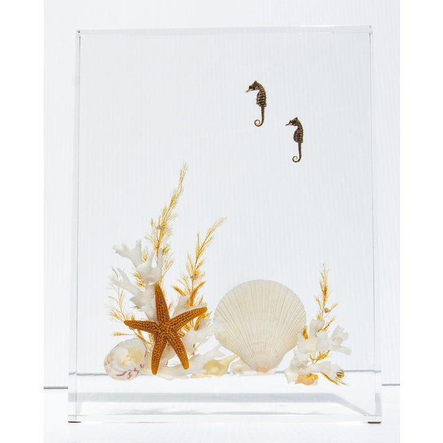 Mid-Century Modern Lucite Sea Life Specimen Sculptures Mid Century Modern For Sale - Image 3 of 5