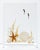 Mid-Century Modern Lucite Sea Life Specimen Sculptures Mid Century Modern For Sale - Image 3 of 5
