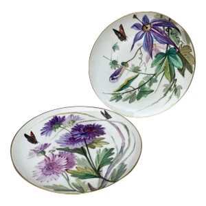 19th French Porcelain Plates Flowers & Butterfly Limoges-A Pair