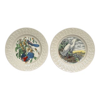 Early 1900s John James Audubon China Plates- Set of 12 For Sale