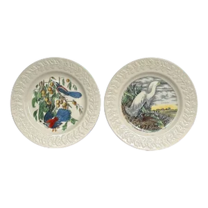 Early 1900s John James Audubon China Plates- Set of 12