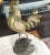 Antique French Bronze Rooster Signed For Sale In Tampa - Image 6 of 12