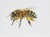 Juris Utans, Bee at Rest III, 2021, Mixed Media and Paper For Sale