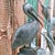 Late 20th Century Monumental Nautical Bronze Fountain of Pelican on Piling. For Sale In Philadelphia - Image 6 of 8