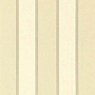 Sample - Schumacher Sophia Silk Stripe Fabric in Champagne For Sale