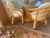 Vintage Set of 5 Pieces Bamboos and Rattan Dining Room Table and Chairs For Sale In Atlanta - Image 6 of 8