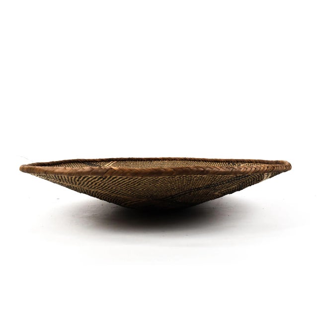 African Early 20th Century Tonga Binga Basket 22 Inch For Sale - Image 3 of 7