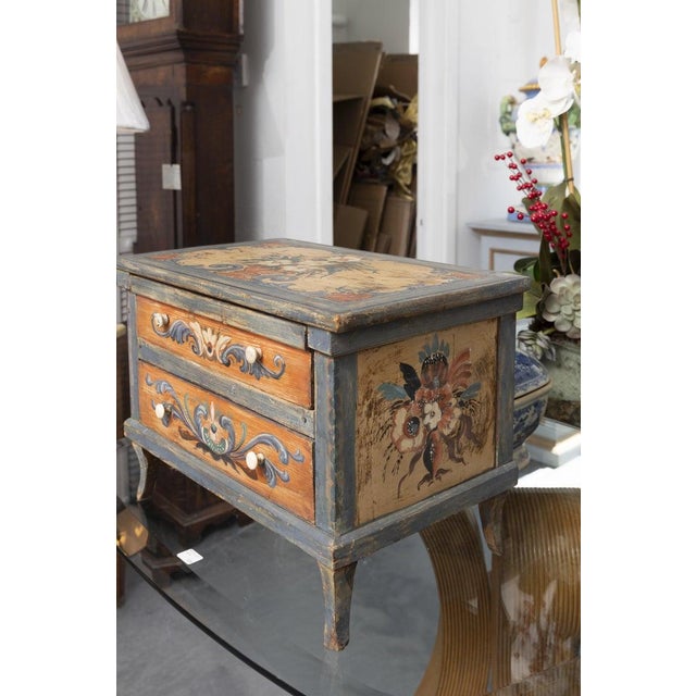 Late 19th Century Scandinavian Hand-Painted Specimen Chest For Sale In West Palm - Image 6 of 11
