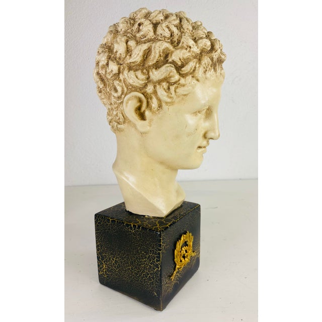 This is a mid 20th century classical Greco Roman bust of a young man. This bust has an antiqued alabaster finish to the...