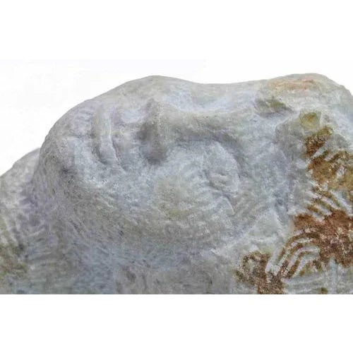 Sirio Pellegrini, Head of Boy, Marble Sculpture, 1960s For Sale - Image 4 of 5