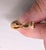 Brown Vintage Signed Napier Goldtone Brown Moonglow Cumquat Drop Clip Earrings-2 Pieces For Sale - Image 8 of 12
