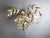 Metal Palm Tree Wall Light from Daniel dHaeseleer, 1970s For Sale - Image 7 of 13