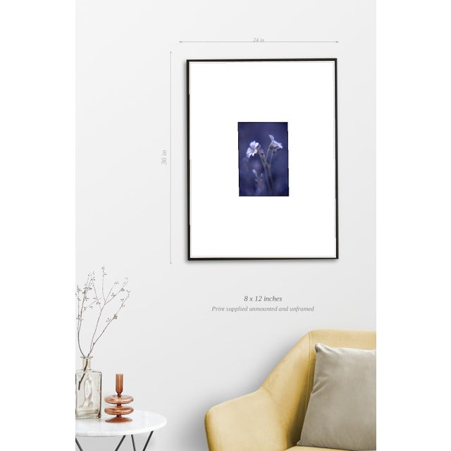 Paul Cooklin, Woodruff, Gallium Odoratum, Edition of 50 For Sale - Image 4 of 7