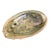 Red Abalone Shell For Sale
