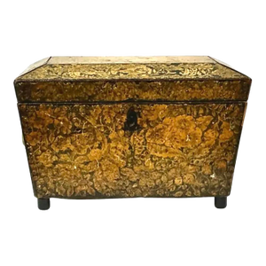 Regency Penwork Tea Caddy