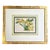 A. Goossens 1890 Antique Botanical Color Lithograph Odonotoglossum Luteo Purpueum For Sale