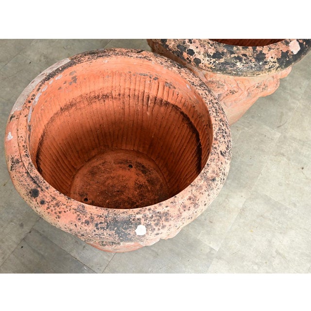 English Pair of Large 20th Century Terracotta Decorated Planters For Sale - Image 11 of 12
