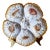 Antique Limoges T v Oyster Plate, Jones McDuffee & Stratton, Hand-Painted Shells, C. 1892-1907 For Sale