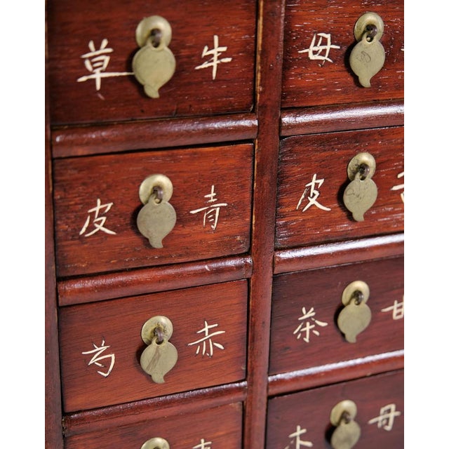 Antique Apothecary Cabinet with Drawers in Dark Wood, 1890s For Sale - Image 3 of 15