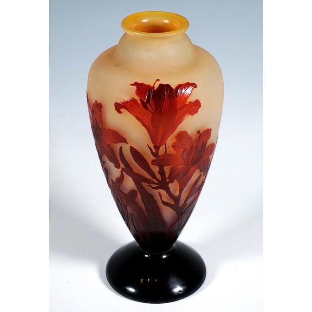 Art Nouveau Cameo Vase by Emile Galle, France, 1900 For Sale - Image 5 of 7