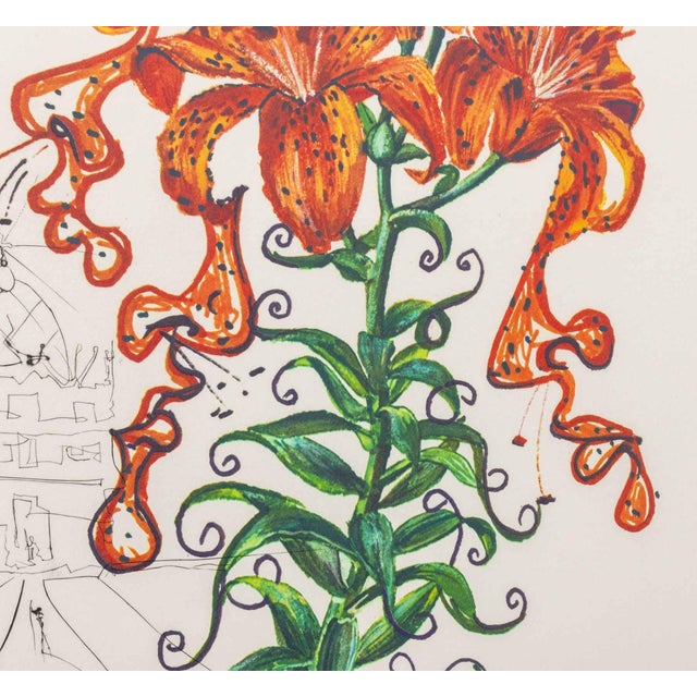 Salvador Dalí Salvador Dali "Tiger Lily (Mustache)" Etching 1972 For Sale - Image 4 of 11
