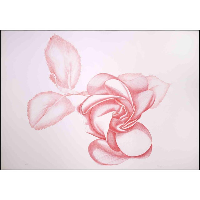 Red Rose is an original contemporary artwork realized by Giacomo Porzano in 1970s. Colored etching Hand-signed on the...
