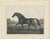After Chalon, Volunteer & Selim Thoroughbred Horses, Lithographs, 1840, Set of 2 For Sale - Image 4 of 9