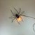 Mid-Century Modern Spider Wall Lamp, 1960s For Sale - Image 16 of 18