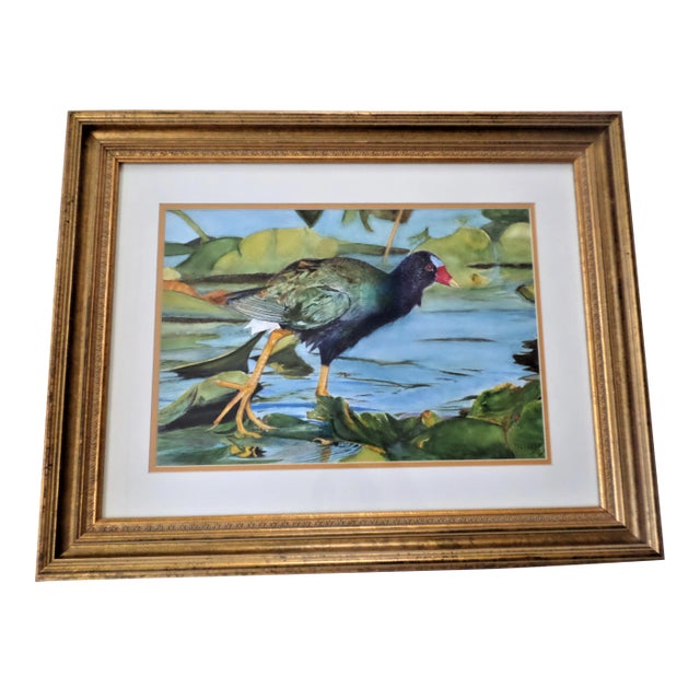 1970s "Purple Gallinule Bird in Pond" Watercolor Painting, Framed For Sale