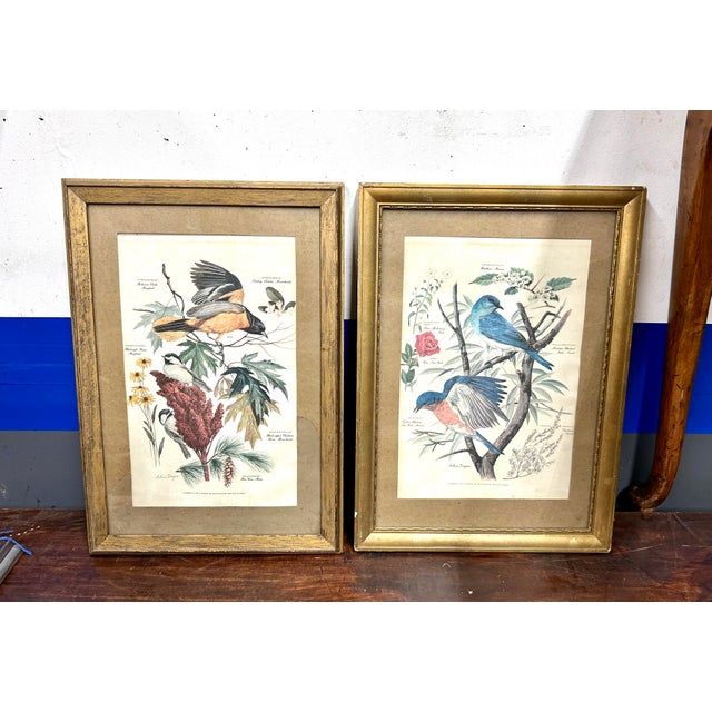 1950s Vintage Arthur Singer Autobahn Bird Prints, a Pair Framed | Chairish