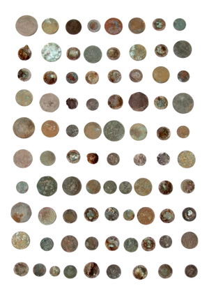 Vintage Oxidized Coin Collection