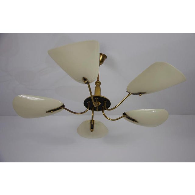 Beige Mid-Century Italian Brass 5-Arm Sputnik Chandelier, Germany, 1950s For Sale - Image 8 of 15