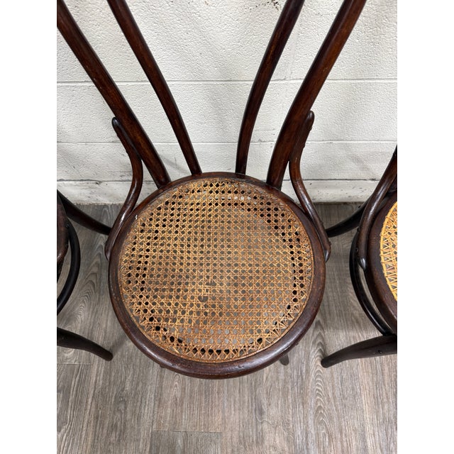 Antique Thonet Style Bentwood Caned Seat Dining Chairs - Set of 4 For Sale In Kansas City - Image 6 of 12