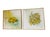 Monet Signed Dorothy Malan Original Floral Still Life Paintings – Matched Pair | Michigan Artist | Vintage Impressionist Artwork | Gold & Wood Frames For Sale - Image 4 of 12