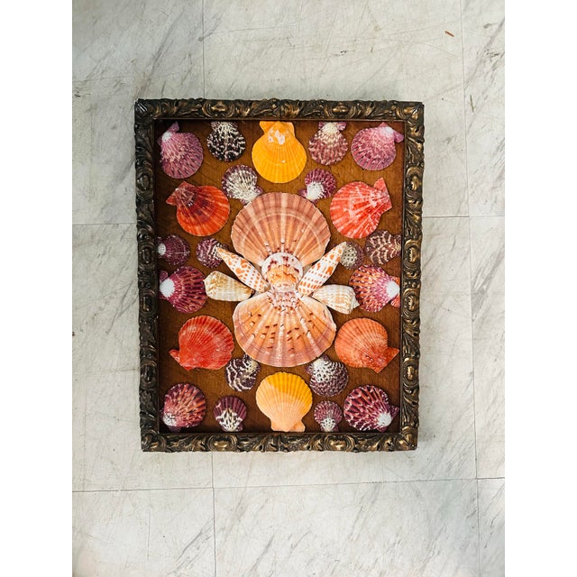 Coastal Antique Frame With Shell Art For Sale - Image 3 of 6