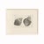 Paper Antique Sea Shell Set of 9 - 11" X 14" Reproduction For Sale - Image 7 of 15
