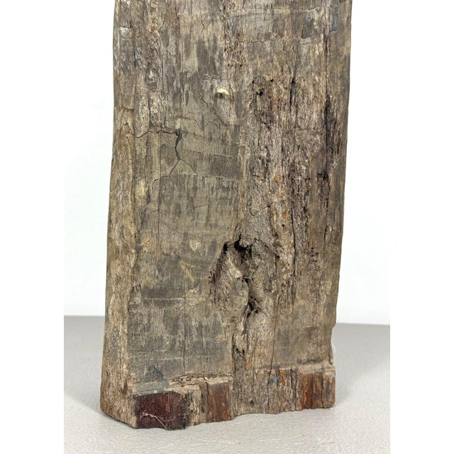 Antique 28-Inch Dayak Bornean Ironwood Hampatong Guardian Figure - Documented Collection Marks - Southeast Asian Tribal Art For Sale - Image 13 of 17