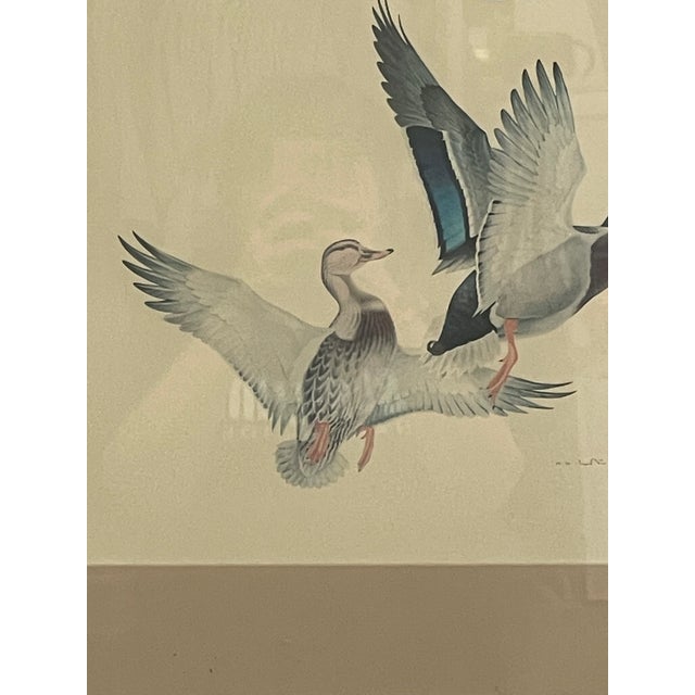 Metal Vintage Framed Waterfowl Bird Print of Flying Ducks, Wildlife Wall Art For Sale - Image 7 of 10