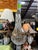 Up for consideration is a beautiful vintage pair of gold deer head stag crystal sconces. These would look lovely in your...