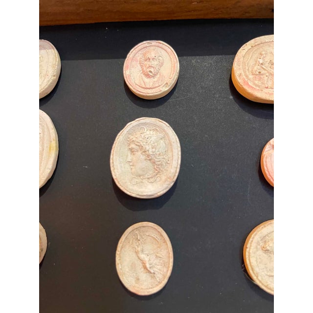English Italian Plaster Intaglios in Reclaimed 1880s Pine Frame For Sale - Image 3 of 10