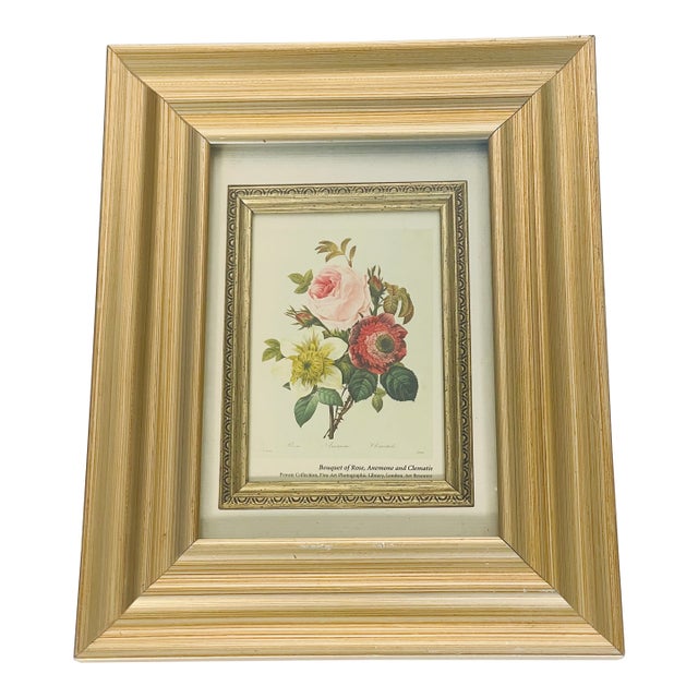 1960s P.J.Redoute Rosa Chromolithograph Framd For Sale