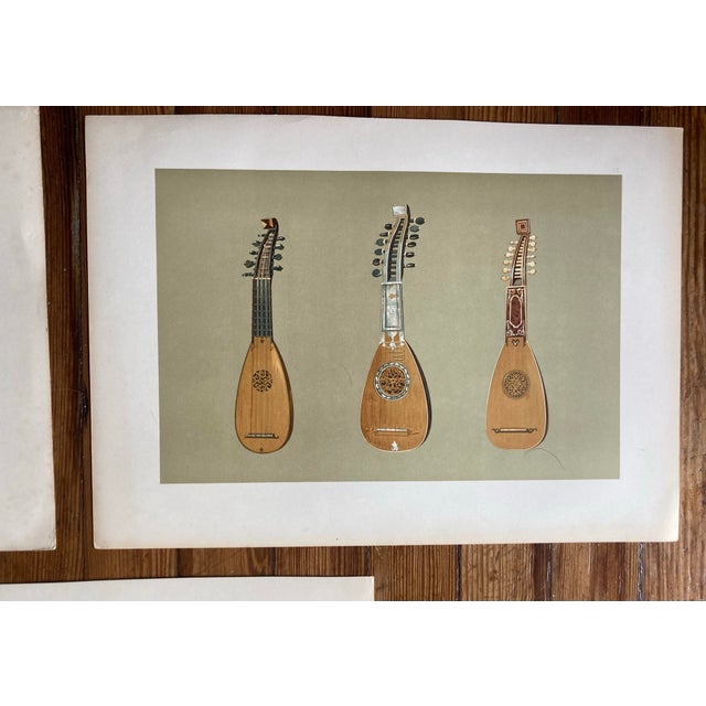 Paper Original 19th Century Engravings of Various Musical Instruments in Color - Set of 5 For Sale - Image 7 of 12