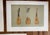 Paper Original 19th Century Engravings of Various Musical Instruments in Color - Set of 5 For Sale - Image 7 of 12