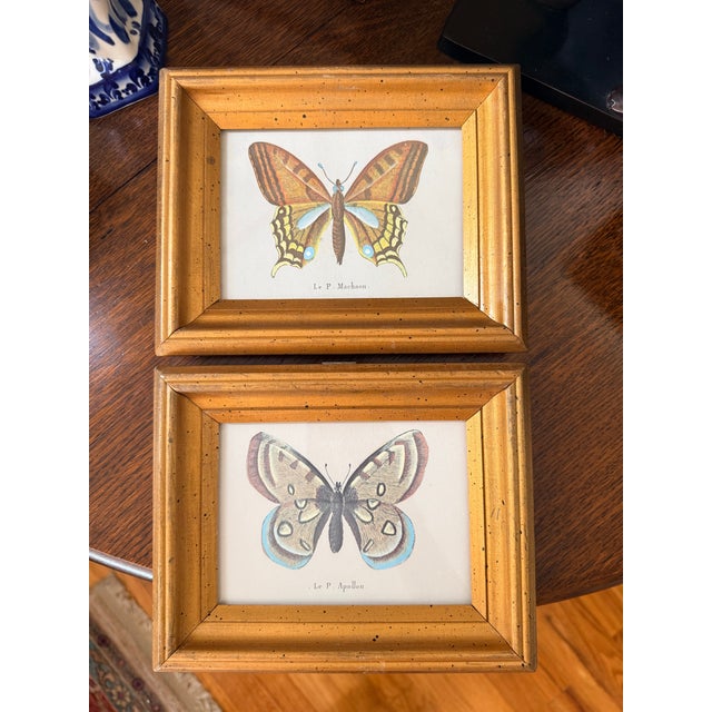 Small Vintage Butterfly Prints For Sale - Image 4 of 7